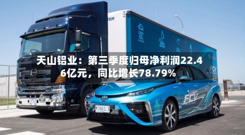 天山铝业：第三季度归母净利润22.46亿元	，同比增长78.79%-第3张图片
