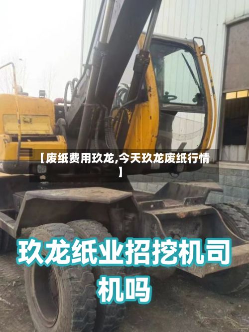 【废纸费用玖龙,今天玖龙废纸行情】