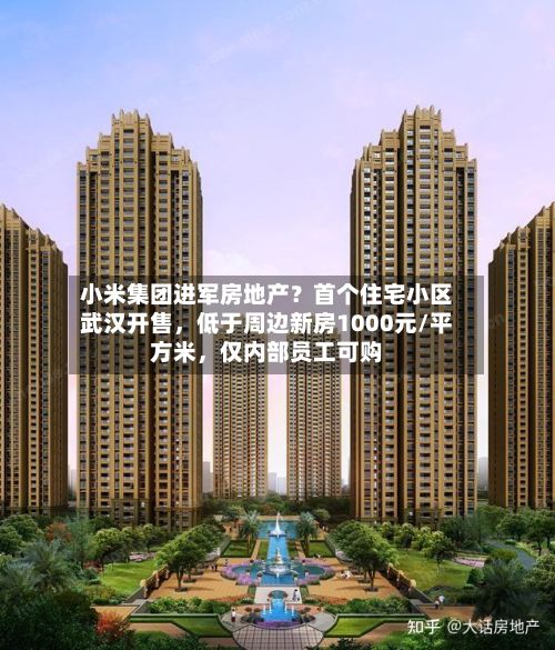 小米集团进军房地产？首个住宅小区武汉开售，低于周边新房1000元/平方米	，仅内部员工可购-第3张图片