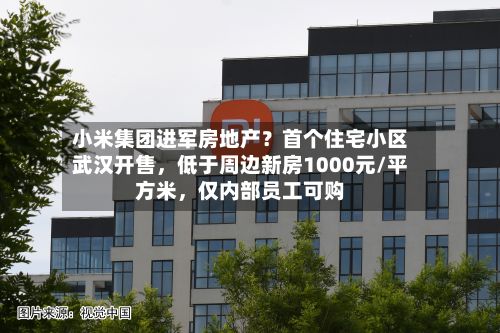 小米集团进军房地产？首个住宅小区武汉开售，低于周边新房1000元/平方米，仅内部员工可购-第2张图片