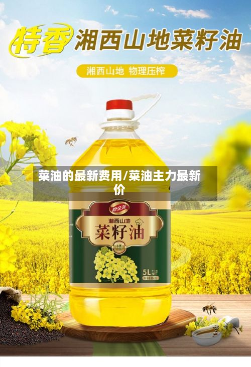 菜油的最新费用/菜油主力最新价