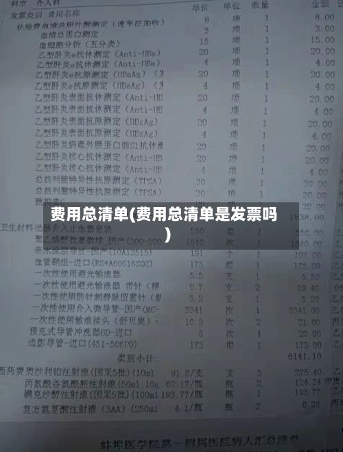 费用总清单(费用总清单是发票吗)-第2张图片