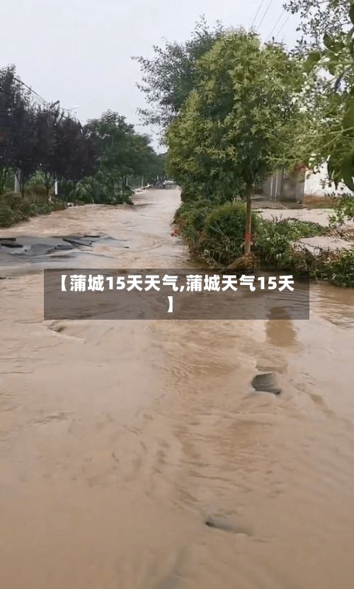 【蒲城15天天气,蒲城天气15夭】-第2张图片