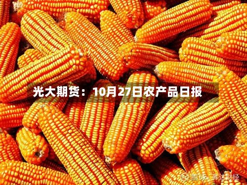光大期货:10月27日农产品日报-第1张图片