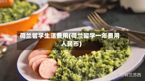 荷兰留学生活费用(荷兰留学一年费用人民币)-第2张图片