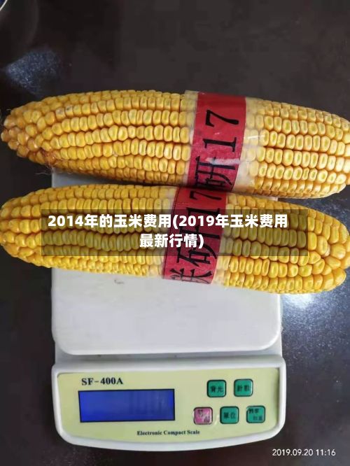 2014年的玉米费用(2019年玉米费用最新行情)