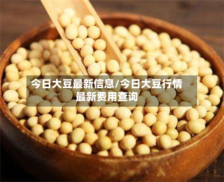 今日大豆最新信息/今日大豆行情最新费用查询
