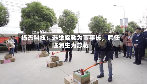 扬杰科技：选举梁勤为董事长	，聘任陈润生为总裁-第3张图片