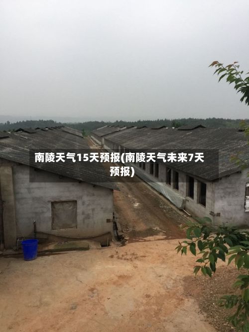 南陵天气15天预报(南陵天气未来7天预报)