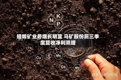 钼精矿业务增长明显 马矿股份前三季度营收净利双增