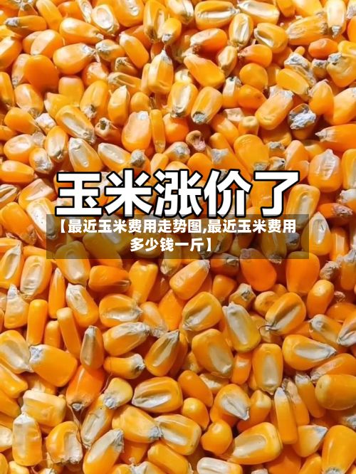 【最近玉米费用走势图,最近玉米费用多少钱一斤】-第2张图片