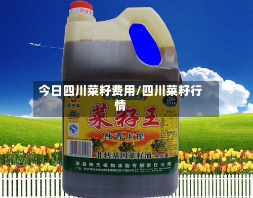 今日四川菜籽费用/四川菜籽行情