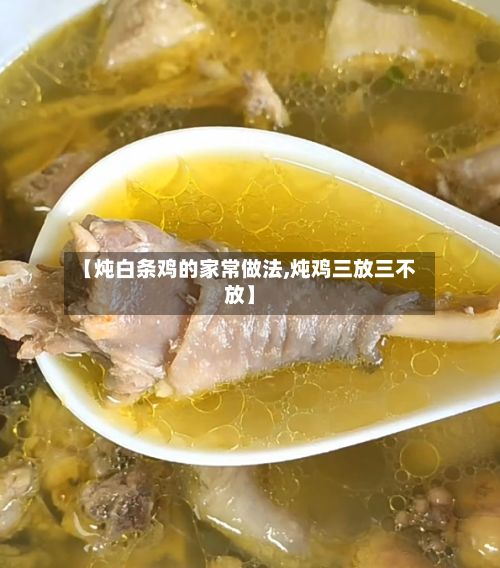 【炖白条鸡的家常做法,炖鸡三放三不放】-第3张图片