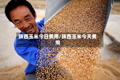 陕西玉米今日费用/陕西玉米今天费用