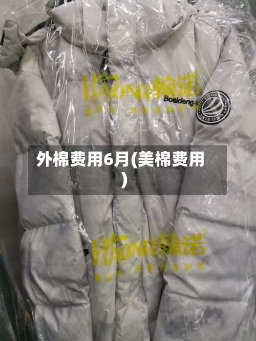 外棉费用6月(美棉费用)-第2张图片
