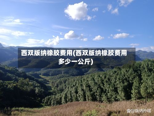 西双版纳橡胶费用(西双版纳橡胶费用多少一公斤)