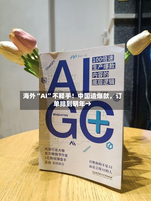 海外“AI	”不释手！中国造爆款，订单排到明年→-第2张图片