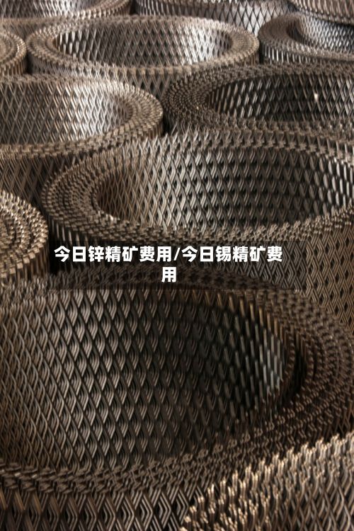 今日锌精矿费用/今日锡精矿费用