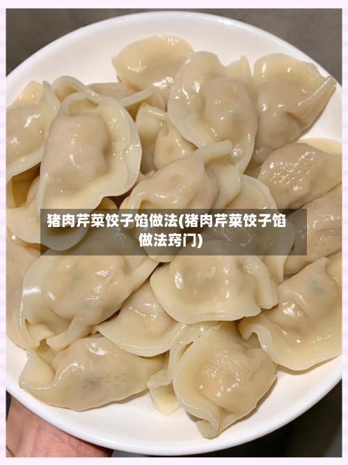 猪肉芹菜饺子馅做法(猪肉芹菜饺子馅做法窍门)