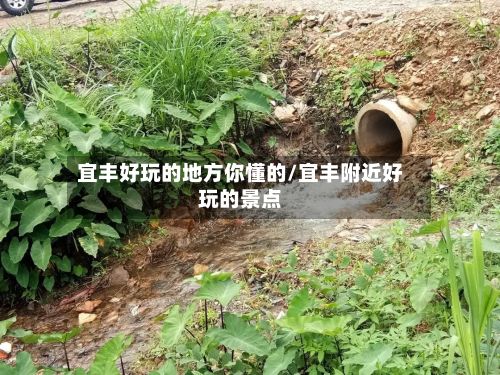 宜丰好玩的地方你懂的/宜丰附近好玩的景点