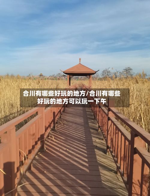 合川有哪些好玩的地方/合川有哪些好玩的地方可以玩一下午