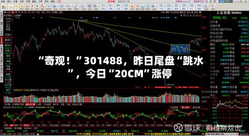 “奇观！”301488	，昨日尾盘“跳水”，今日“20CM	”涨停-第2张图片