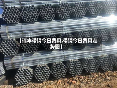 【瑞丰带钢今日费用,带钢今日费用走势图】-第2张图片