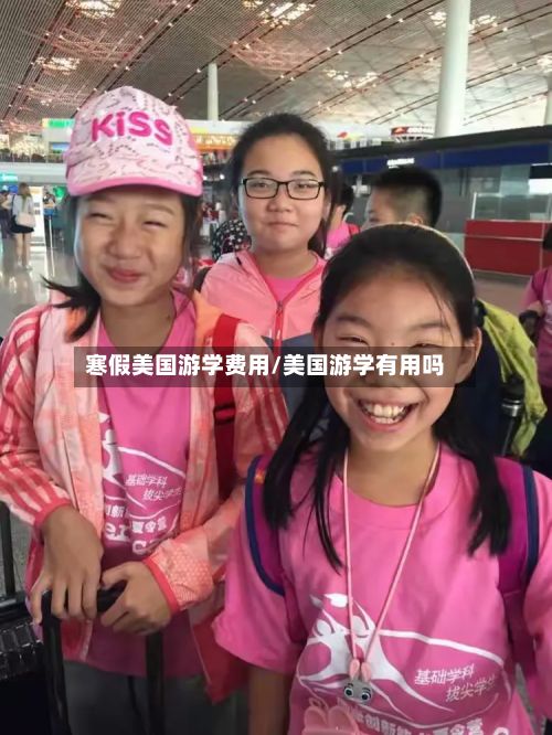 寒假美国游学费用/美国游学有用吗-第2张图片