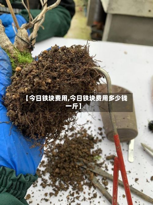 【今日铁块费用,今日铁块费用多少钱一斤】-第3张图片