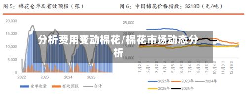 分析费用变动棉花/棉花市场动态分析-第2张图片