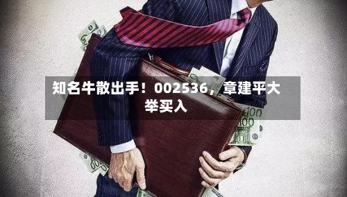 知名牛散出手！002536，章建平大举买入-第2张图片