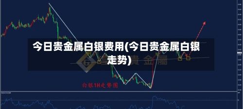 今日贵金属白银费用(今日贵金属白银走势)