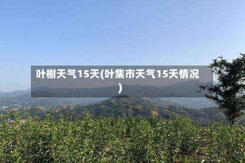 叶榭天气15天(叶集市天气15天情况)