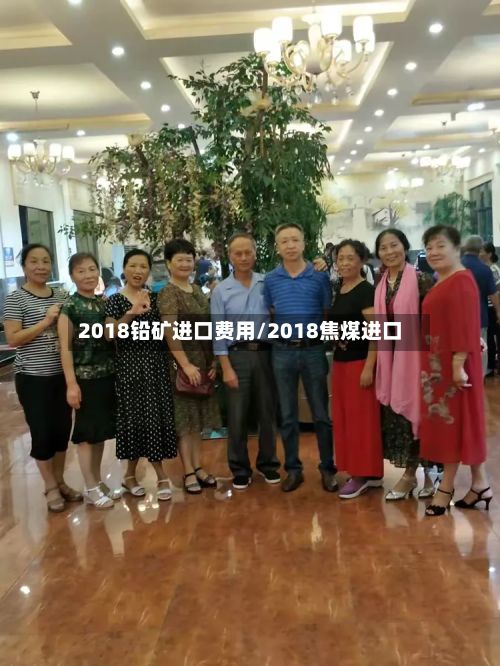 2018铅矿进口费用/2018焦煤进口-第2张图片