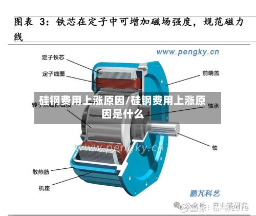 硅钢费用上涨原因/硅钢费用上涨原因是什么