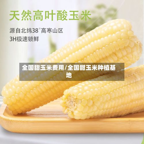 全国甜玉米费用/全国甜玉米种植基地-第2张图片