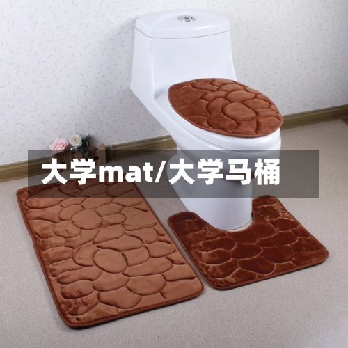 大学mat/大学马桶-第2张图片