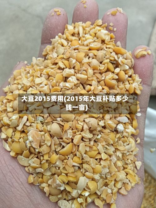 大豆2015费用(2015年大豆补贴多少钱一亩)