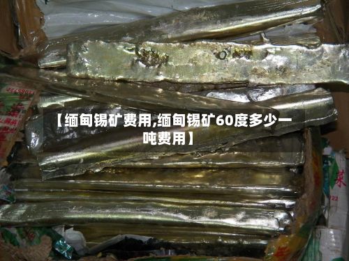 【缅甸锡矿费用,缅甸锡矿60度多少一吨费用】-第2张图片