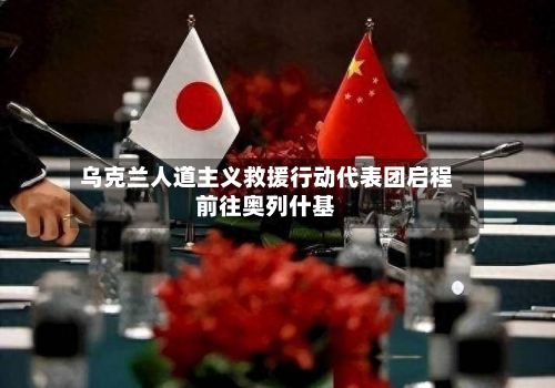 乌克兰人道主义救援行动代表团启程前往奥列什基-第2张图片