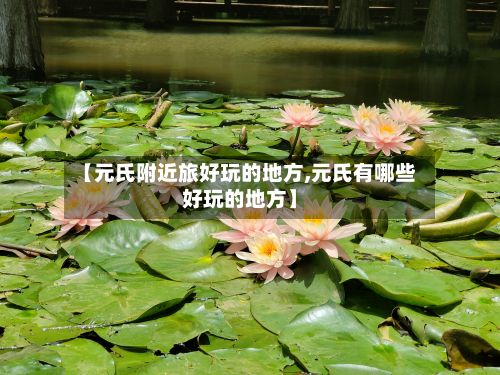 【元氏附近旅好玩的地方,元氏有哪些好玩的地方】