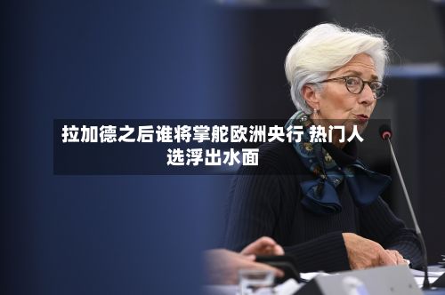 拉加德之后谁将掌舵欧洲央行 热门人选浮出水面-第2张图片