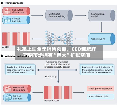 礼来上调全年销售预期，CEO称肥胖药物市场拥有“巨大”扩张空间-第2张图片