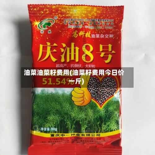 油菜油菜籽费用(油菜籽费用今日价一斤)-第2张图片