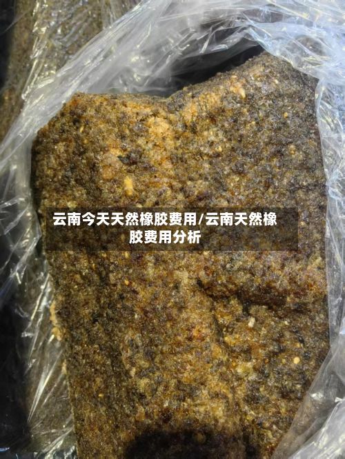 云南今天天然橡胶费用/云南天然橡胶费用分析