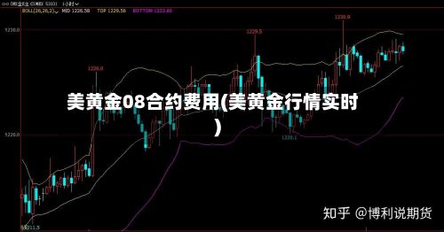美黄金08合约费用(美黄金行情实时)