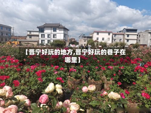 【晋宁好玩的地方,晋宁好玩的巷子在哪里】-第2张图片
