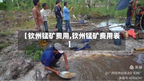 【钦州锰矿费用,钦州锰矿费用表】