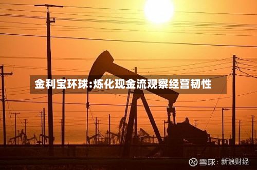 金利宝环球:炼化现金流观察经营韧性-第1张图片