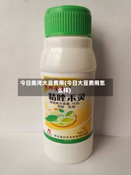 今日美湾大豆费用(今日大豆费用怎么样)